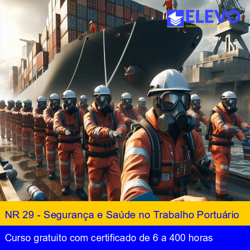 NR 29 - Segurança e Saúde no Trabalho Portuário